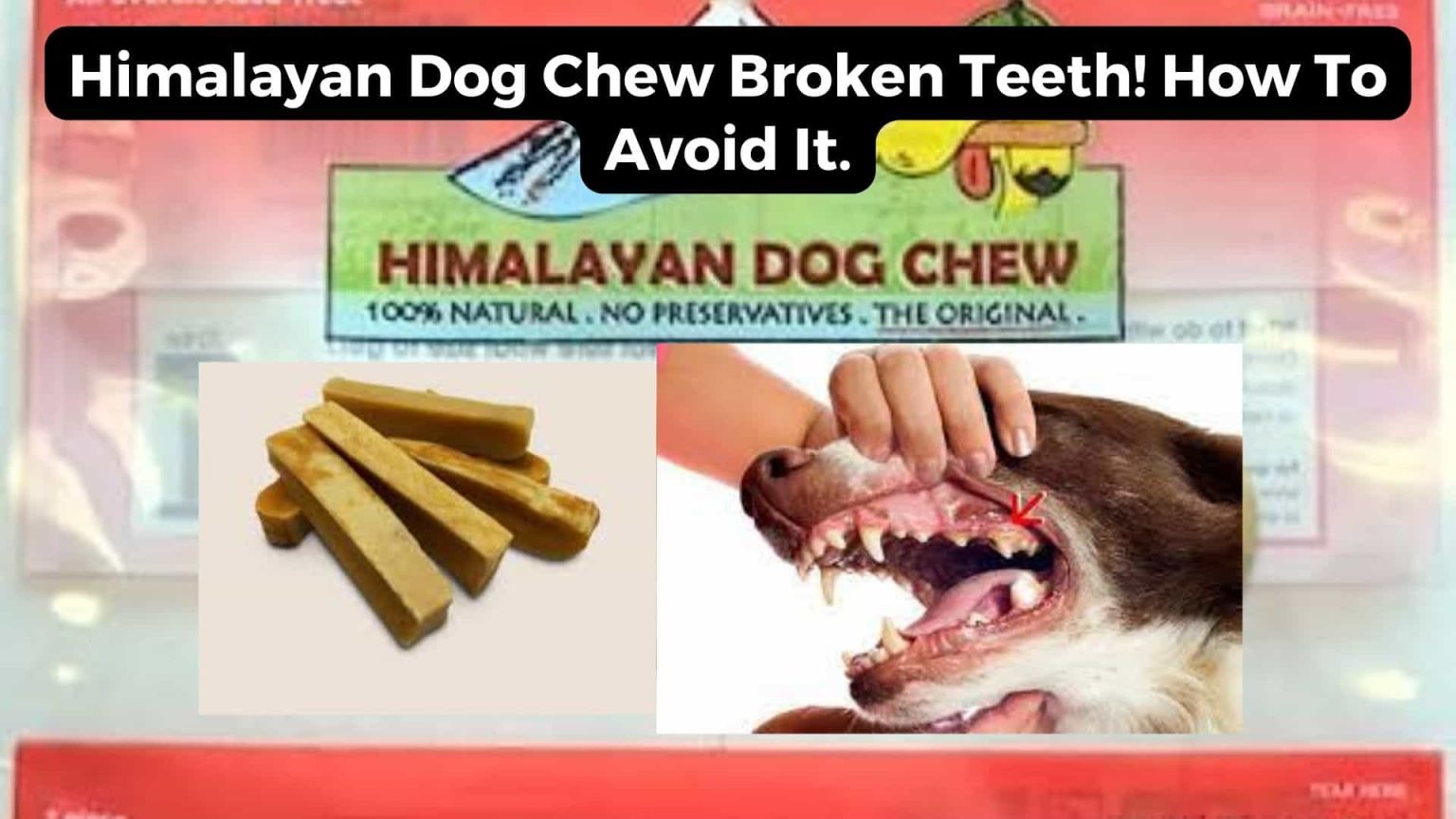 In this informative article, we’ll unveil the tips and tricks to ensure a safe chewing