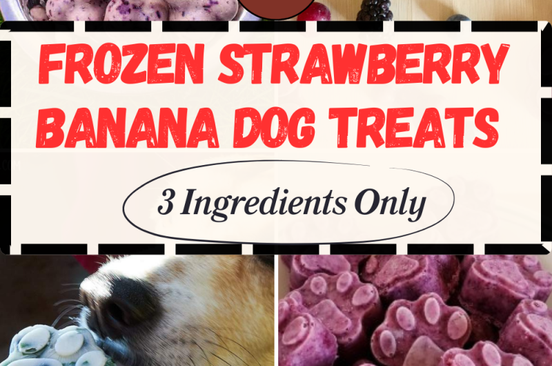 Frozen Strawberry Banana Dog Treats