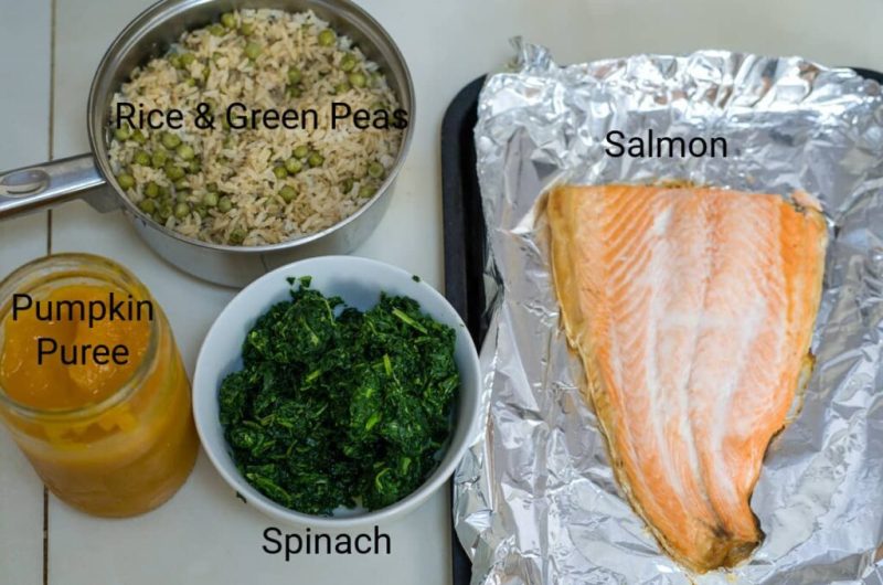 Salmon Dog Food Recipe with Spinach & Pumpkin